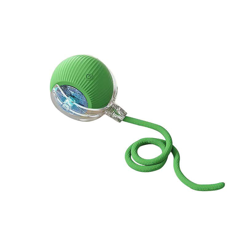 Interactive Dog/Cat Toy