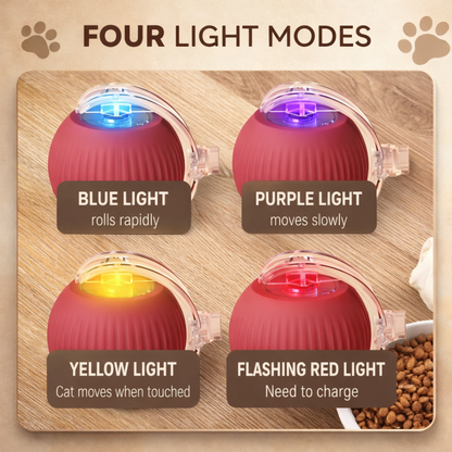 Interactive Dog/Cat Toy