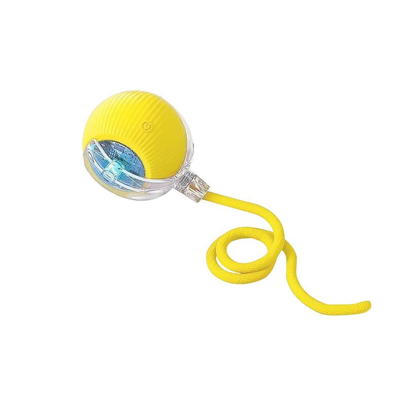 Interactive Dog/Cat Toy
