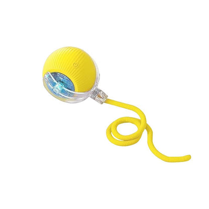 Interactive Dog/Cat Toy