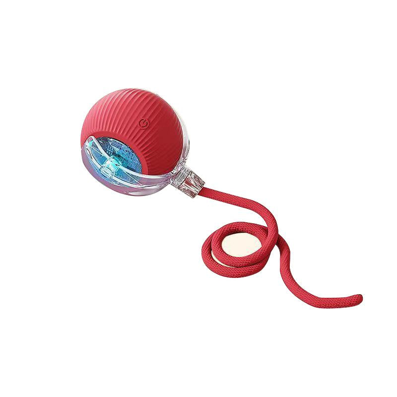 Interactive Dog/Cat Toy